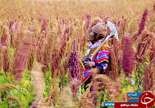 هارمونی انسان و دنیا در 20 عکس تماشایی