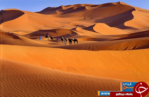 هارمونی انسان و دنیا در 20 عکس تماشایی