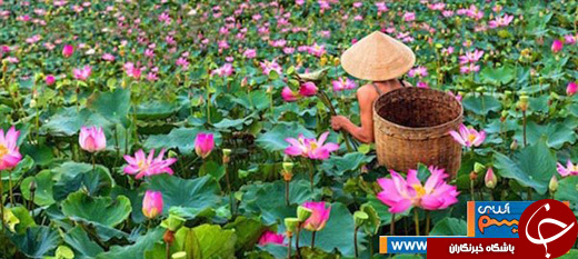 هارمونی انسان و دنیا در 20 عکس تماشایی