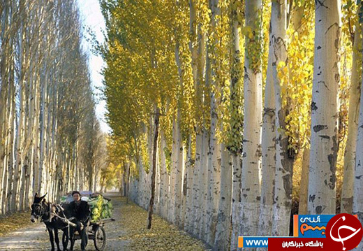 هارمونی انسان و دنیا در 20 عکس تماشایی