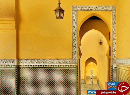 هارمونی انسان و دنیا در 20 عکس تماشایی