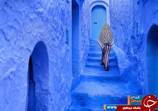 هارمونی انسان و دنیا در 20 عکس تماشایی