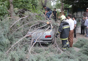 خسارت طوفان گریبان گیر هزار و 300 خانوار