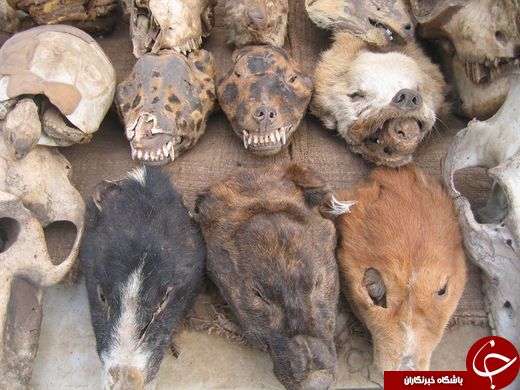 بزرگ&zwnj;ترین بازارهای جهان برای خرید سوغاتی&zwnj;های عجیب +تصاویر