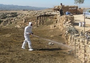 بیش از 50 هزار متر مربع از اماکن دامی دامغان سم پاشی شد