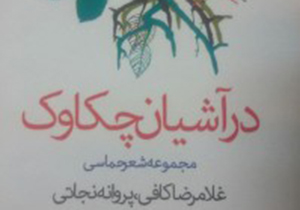 نقد مجموعه شعر حماسی در آشیان چکاوک