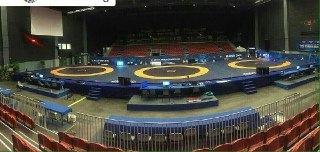 امیری در انتظار مدال برنز/ محبی حذف شد