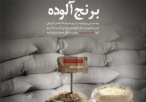 ۴۵۰۰ تن برنج وارداتی آلوده انبار شد