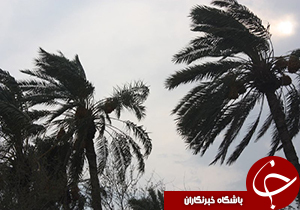 شدت وزش توفان در خنج به 86 کیلومتر در ساعت رسید