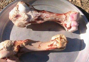 کشف وضبط 600 کیلوگرم فرآورده گوشتی غیرمجاز