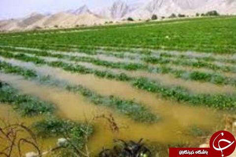 مهمترین حوادث یکشنبه 14 شهریور در گلستان