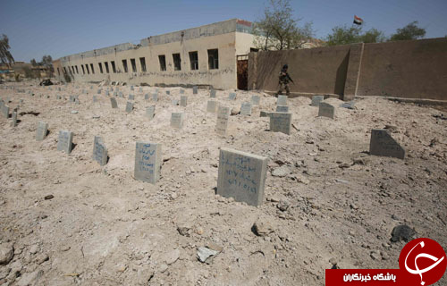 قبرستان 550 نفری داعشی&zwnj;ها در فلوجه عراق