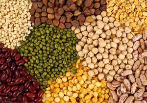 برداشت 3 هزار و 800 تن حبوبات انتظاری در اردبیل