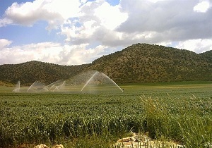 سرمایه گذاری یک میلیارد دلاری در مغان