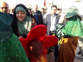 رئیس سازمان حفاظت محیط زیست کشور وارد اراک شد
