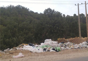 مرگ طبیعت در پایتخت طبیعت ایران