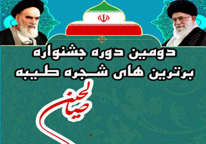 شاعر نیشابوری برگزیده دومین جشنواره شجره طیبه صالحین