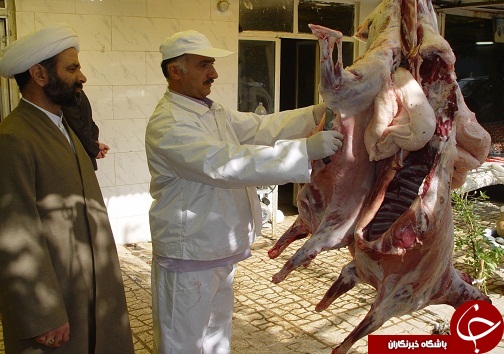 38 اکیپ دامپزشکی آماده استقبال از عید سعید قربان