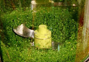 راهنمای خرید سبزی خرد کن
