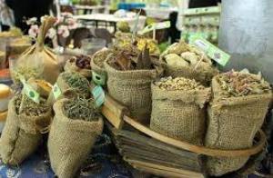 گیاهان دارویی گلستان در نمایشگاه ملی تهران