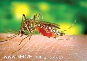 عزم جدی برای مبارزه با هرگونه طغیان مالاریا