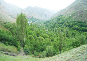 5 جاذبه گردشگری بی نظیر در 5 شهر ایران