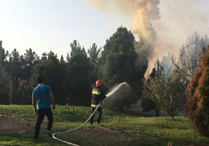 آتش سوزی در پارک کوهستانی صفه