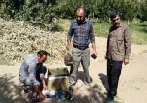 کشف و ضبط 75 قطعه سهره