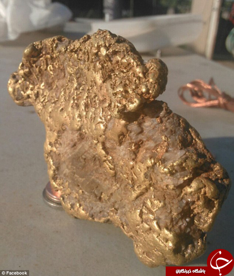 تکه طلای به اندازه استیک +تصاویر