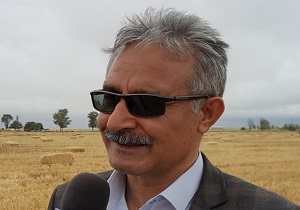 توزیع نهاده های مورد نیاز کلزاکاران در شهرستان نمین