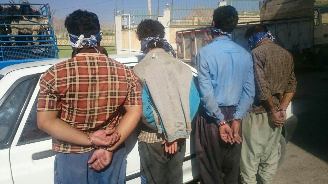 دستگیری سارقین احشام در سمیرم