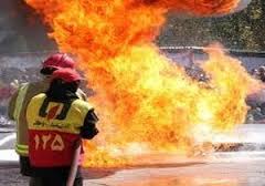 آتش سوزی  بخشی از پوشش گیاهی حاشیه ای تالاب شادگان