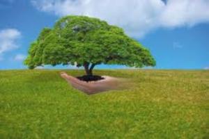 ضرورت نقش آفرینی روحانیون در ترویج فرهنگ طبیعت دوستی