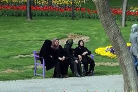 ضرورت ایجاد فرهنگسرا در پارک بانوان همدان