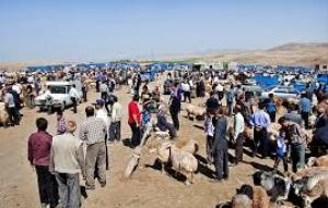 5 جایگاه خرید و فروش دام در گرگان