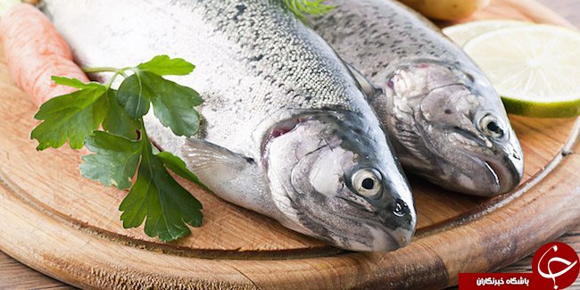 منوی غذای جادویی برای سریعترین کاهش وزن