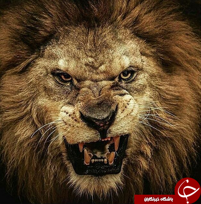 شگفتی های طبیعت به روایت نشنال جئوگرافی +10 عکس