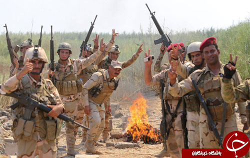از جشنواره عروسکی در تهران تا پنگوئن گارد پادشاهی بلژیک