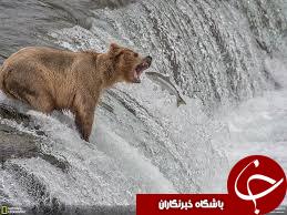 تصاویر منتخب نشنال جئوگرافیک+ 10 عکس
