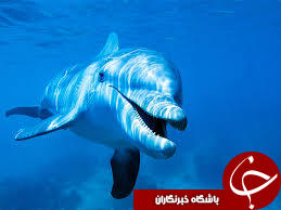 تصاویر منتخب نشنال جئوگرافیک+ 10 عکس