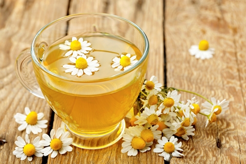 بابونه گلستان سرشار از فایده