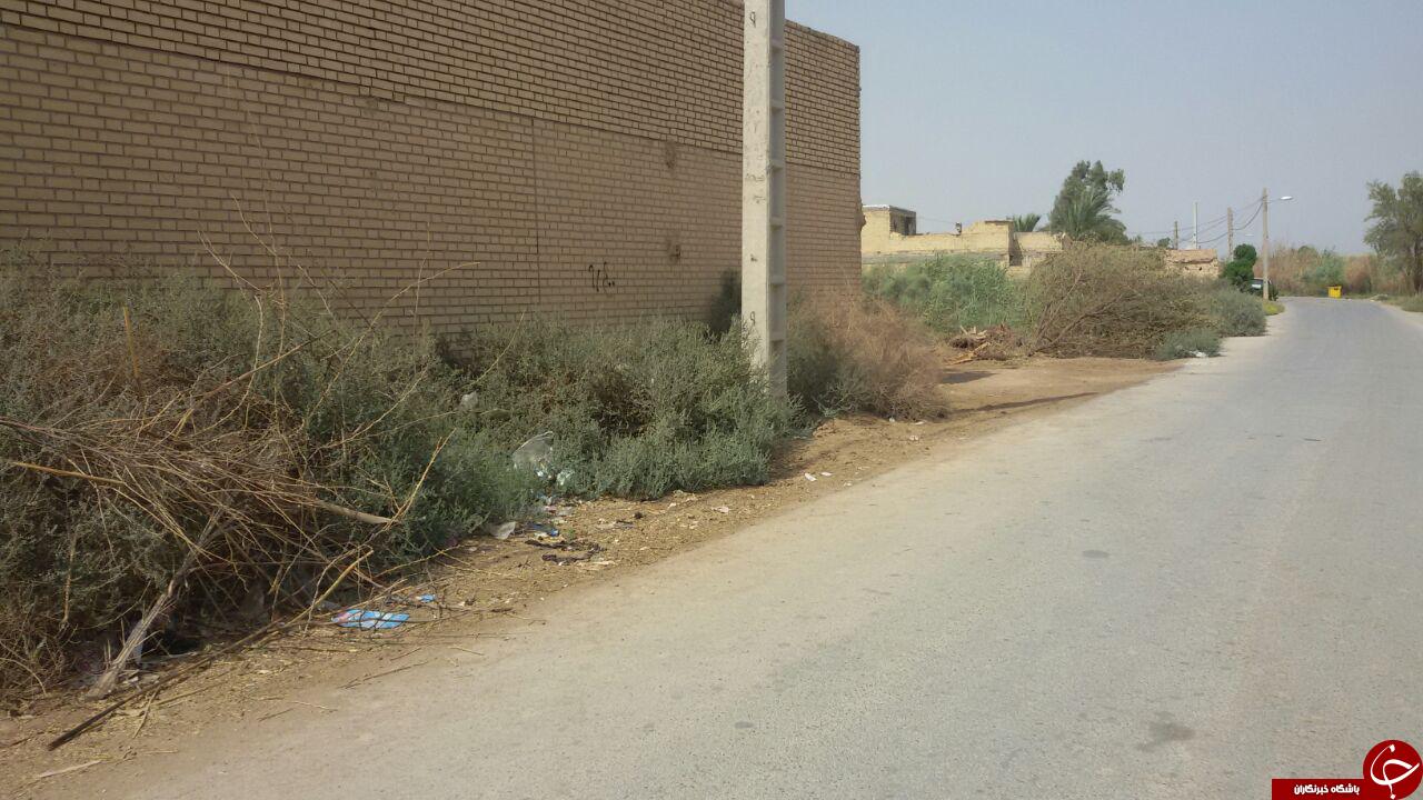 خانه&zwnj;هایی در وسط نیزار + تصاویر