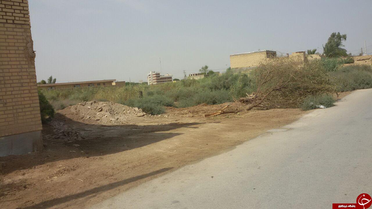 خانه&zwnj;هایی در وسط نیزار + تصاویر