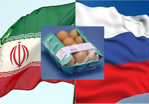 صادرات تخم مرغ به روسیه
