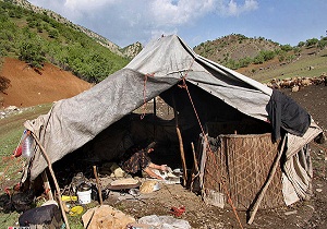 هزارتن محصول طبیعی در ییلاق عشایر تولید می شود