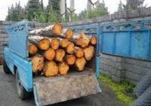 کشف محموله الوار جنگلی قاچاق در نیر