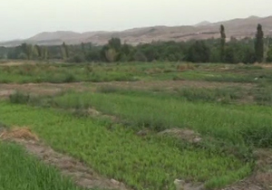 سرانجام فاضلاب‌ها کجاست؟ + فیلم