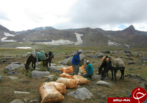 پاکسازی جبهه جنوبی علم کوه + تصاویر پاکسازی جبهه جنوبی علم کوه + تصاویر