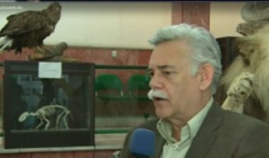 ایران جزء 10 کشور برتر در تنوع زیستی