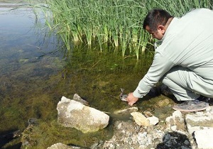رهاسازی یک قطعه کشیم